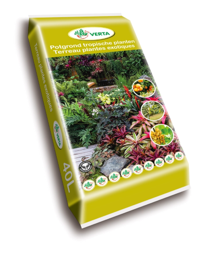 Potgrond tropische planten