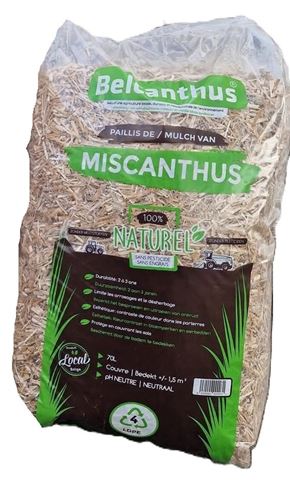 Belcanthus
