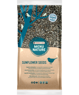 Graines de tournesol