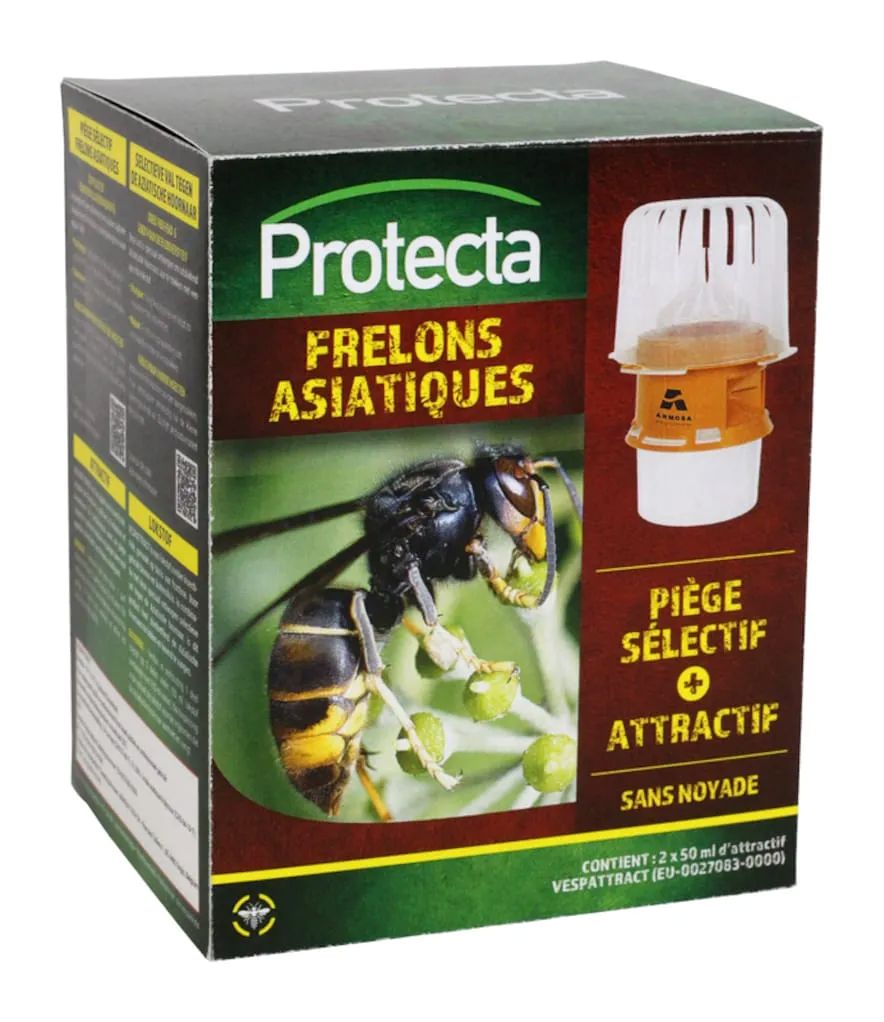 Protecta Selectieve Val + Lokstof voor de Aziatische Hoornaar
