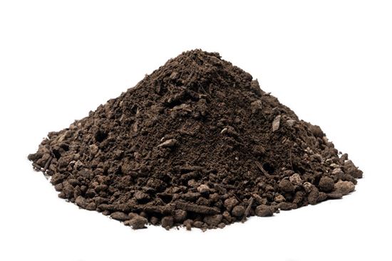 Grasdalsubstraat met graszaad