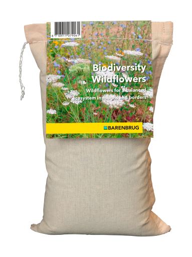 Biodiversity Wildflowers