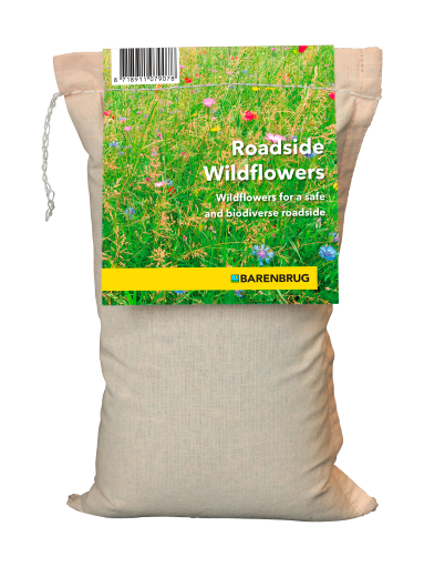 Roadside Wildflowers