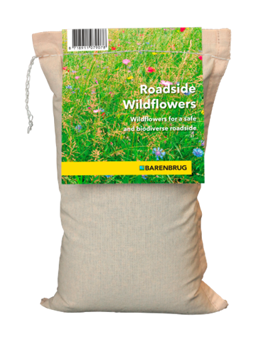 Roadside Wildflowers