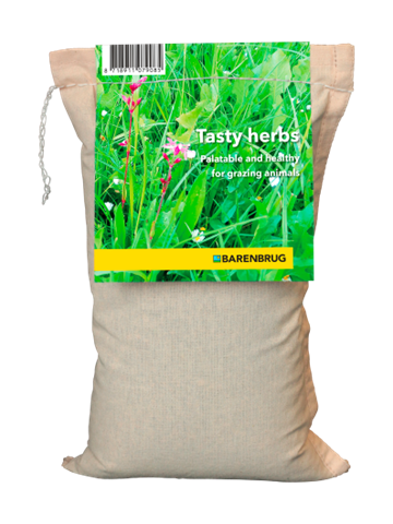 Tasty Herbs
