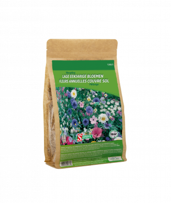 Lage eenjarige Bloemen