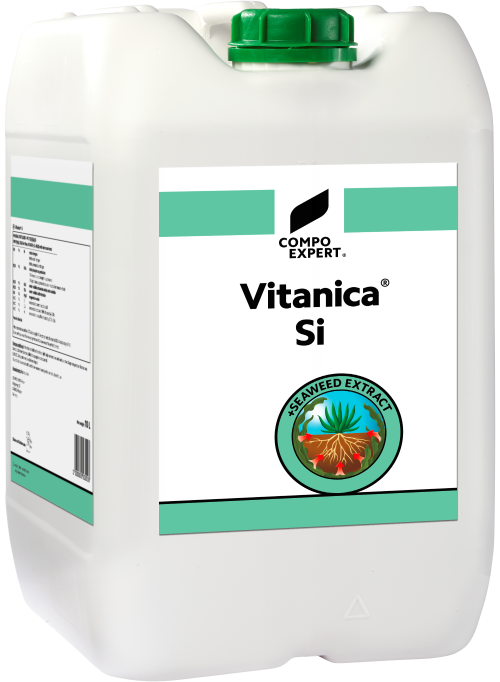 Vitanica® Si