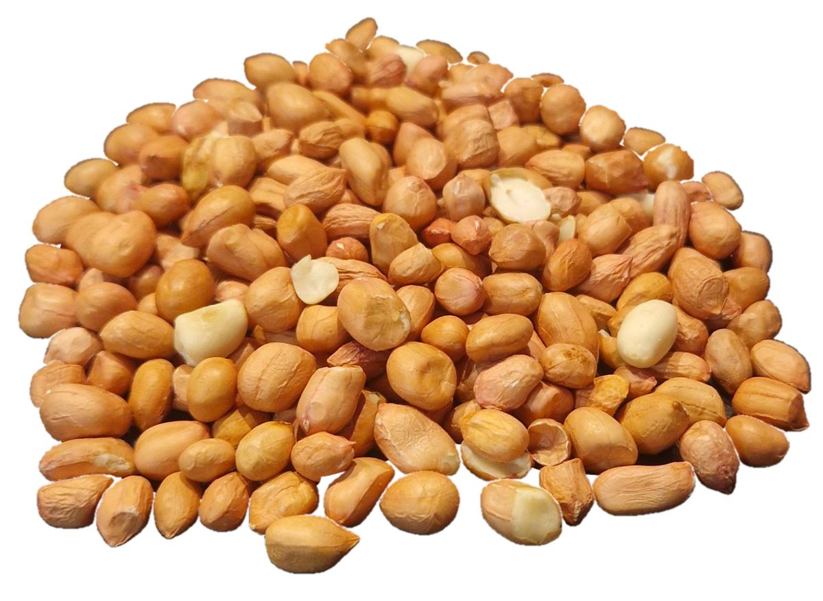 Arachidenoten Gepeld