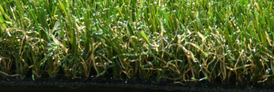 Green Fusion (Bright)