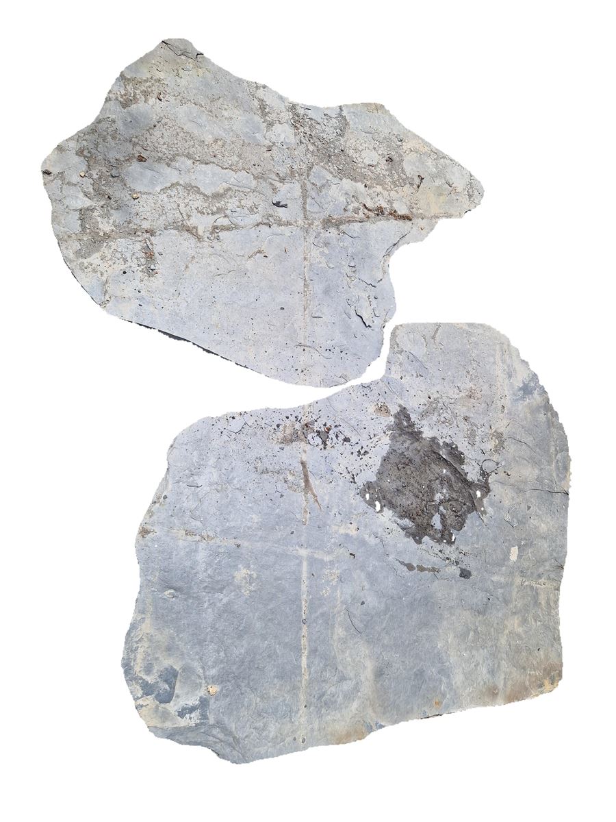 Stapstenen in Leisteen L