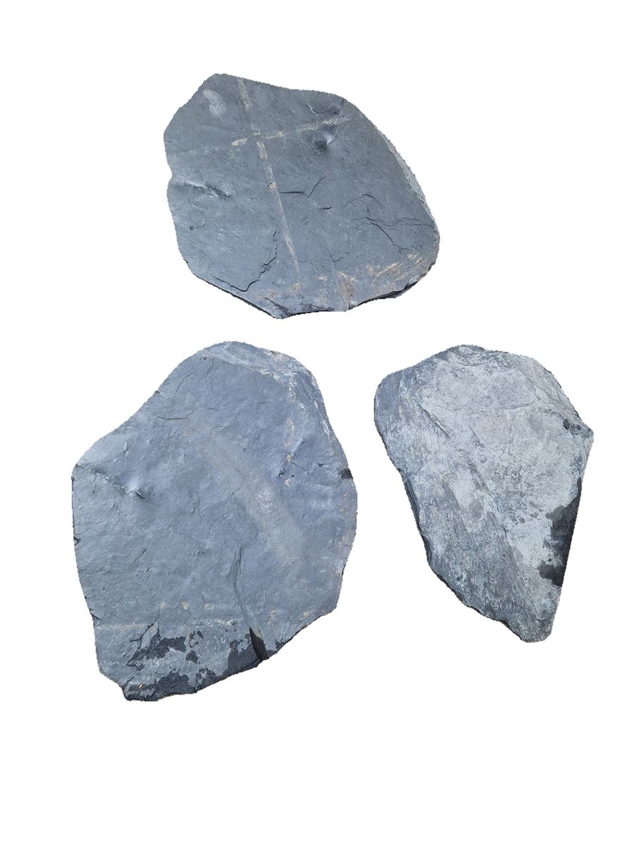 Stapstenen in Leisteen M