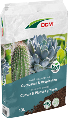 Terreau Cactus & Plantes grasses DCM